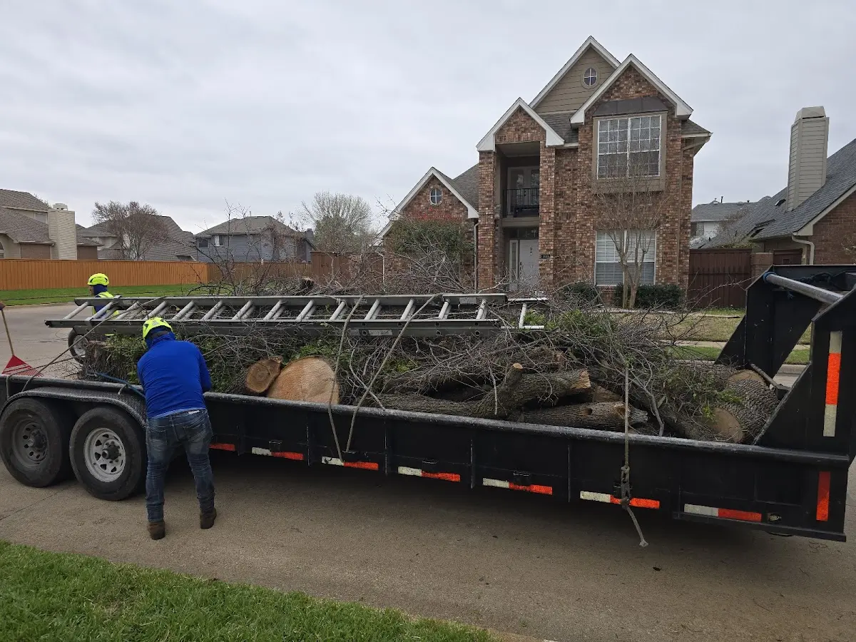 Expert Tree Fertilization with proper safety equipment in Herbster